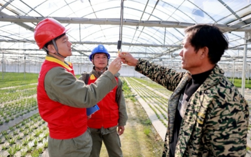 南海热带低压可能加强为台风 广东部署防范工作